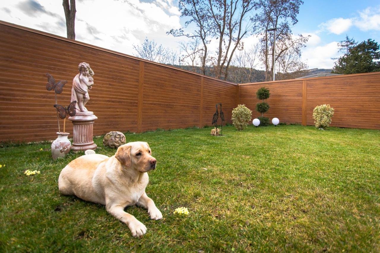 Auszeit Steiraland 3 Mit Ueberdachter Terasse Privatem Garten Und Gratis Parkplatz Leoben  Exteriör bild